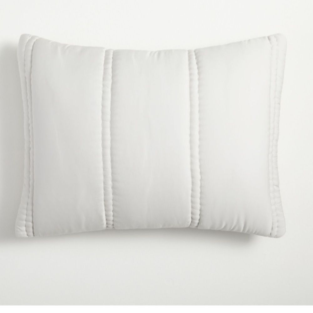 New- West Elm Silky Feel Lyocell Frost Grey Bed Plush Pillow Sham Cover